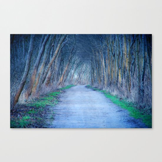 the blue way Canvas Print