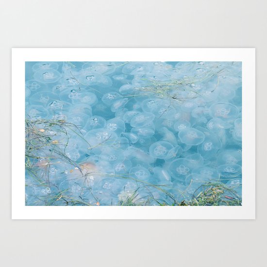 Jellyfish. Art Print