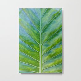Leaf Metal Print | Leaves, Jungle, Color, Abstract, Leaf, Minimal, Boho, Tropical, Green, Naturephotography 