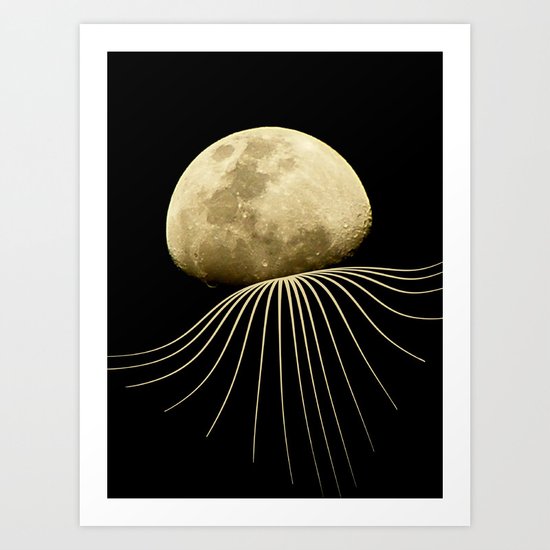 Jellyfish Art Print