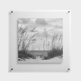 Clouds Over Beach Floating Acrylic Print