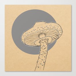 Veridigris Agaric Canvas Print