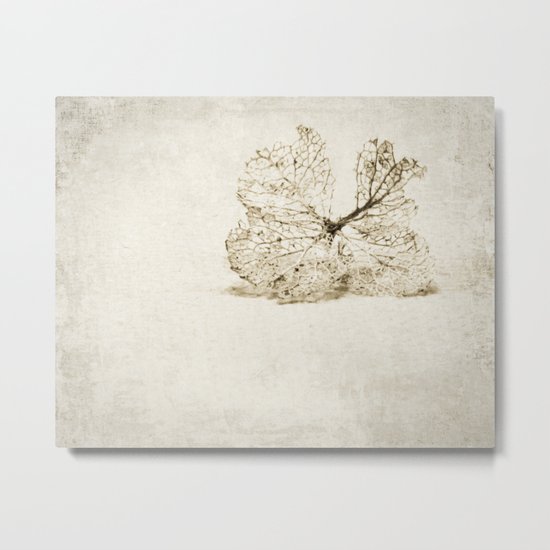 still Metal Print