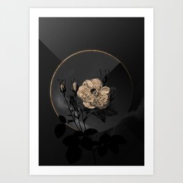 Shadowy White Rose of York Botanical on Black and Gold Art Print