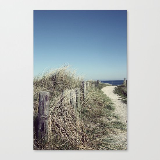 pfad zum meer Canvas Print