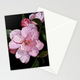 Camellia. Botanical illustration. Stationery Card