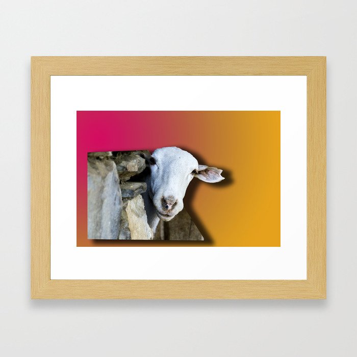 Goat looking 3d Framed Art Print