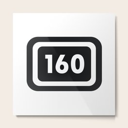 160 Metal Print