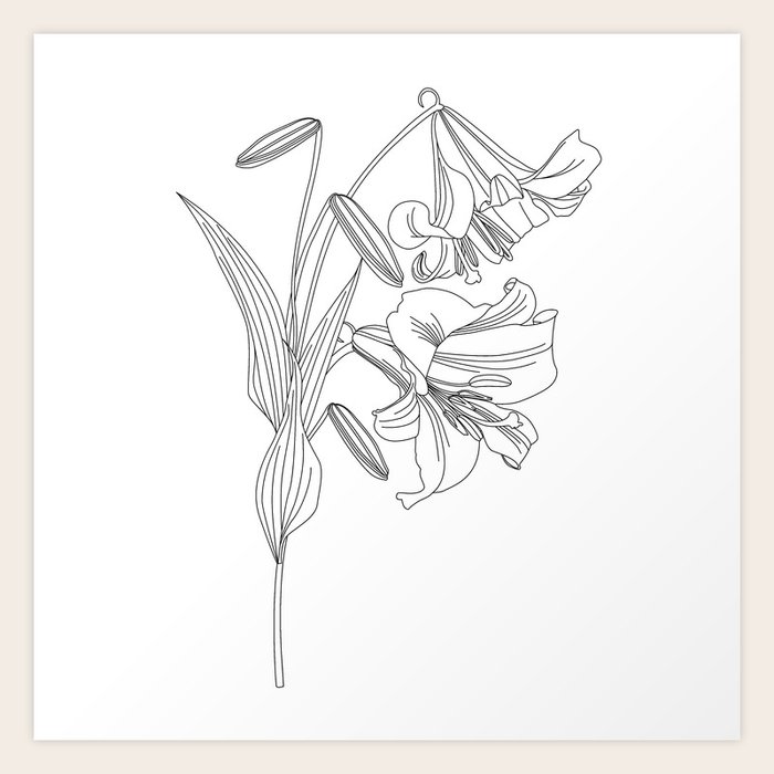 Lily Flower Outline Minimalism Art Print By Reiworld