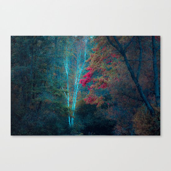 It's Been A Lifetime Canvas Print