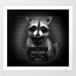 Raccoon Mugshot Art Print