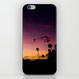 Beautiful Multi Colored Sunset iPhone Skin