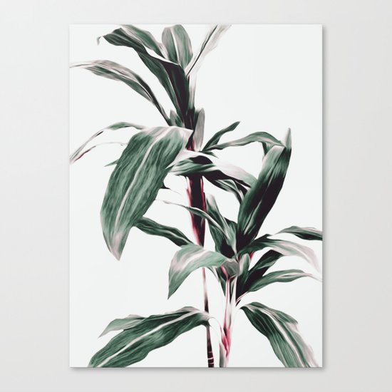 PLANT Canvas Print