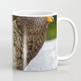 New Zealand Photography - Kea Sitting On The Asphalt Mug