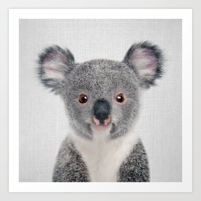 Baby Koala - Colorful Art Print by Gal Design