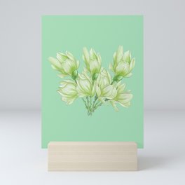 Bunch Of Light Green Flowers Mini Art Print