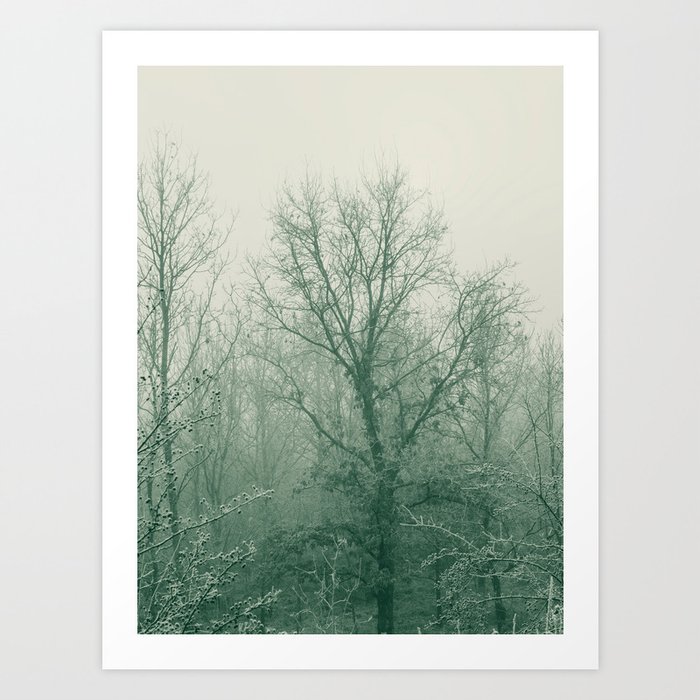 Morning Frost  - Landscape Photography Scotland No. 2 Art Print