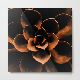 Succulent in Terracotta Color #decor #society6 #buyart Metal Print | Terracotta, Garden, Vintage, Outdoor, Greetings, Color, Nature, Succulent, Brown, Tropical 