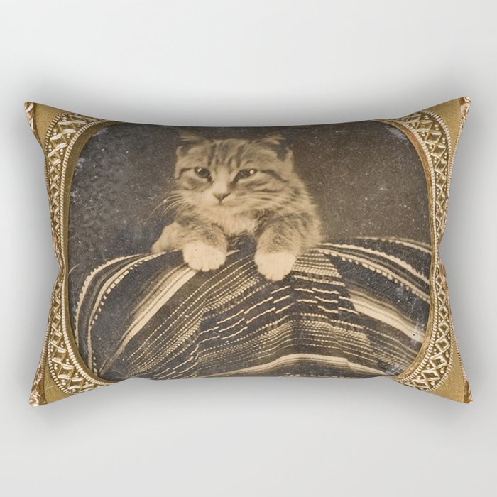 Cat in picture frame, cute, pretty, beautiful, cuddly kitten, loveable.  Rectangular Pillow