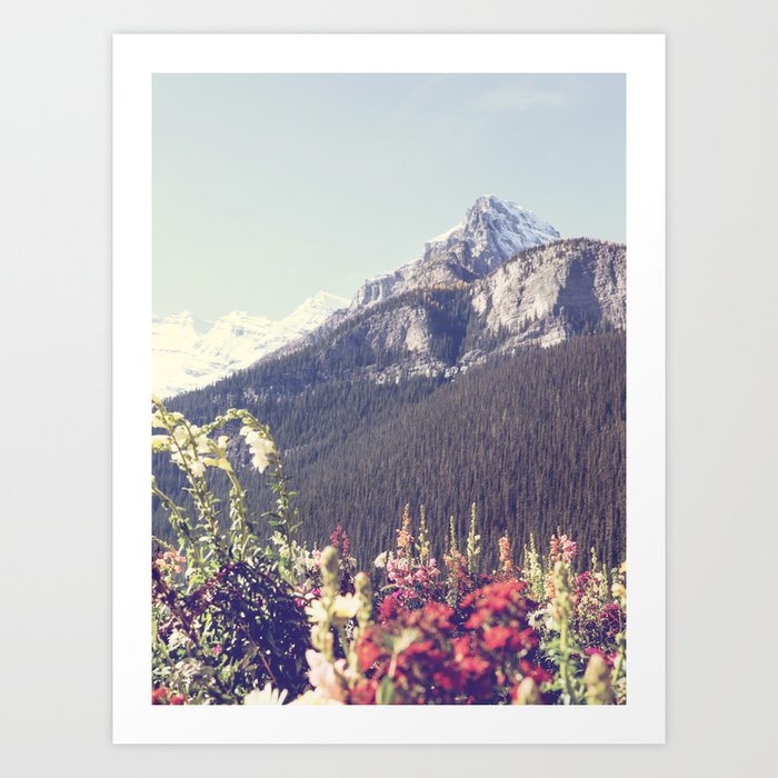 Mountain Wildflowers - Banff Nature, Landscape Photography Art Print