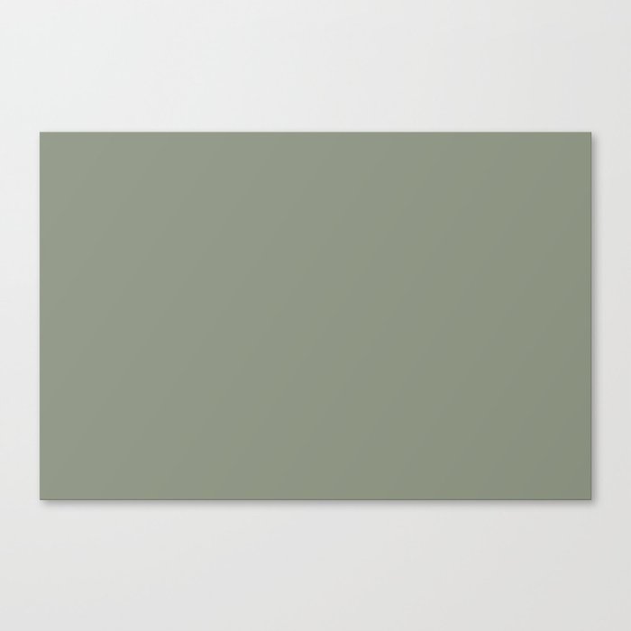 Earthy Green Solid Color Pairs Better Home and Garden 2022 Color of the Year Laurel Leaf Canvas Print