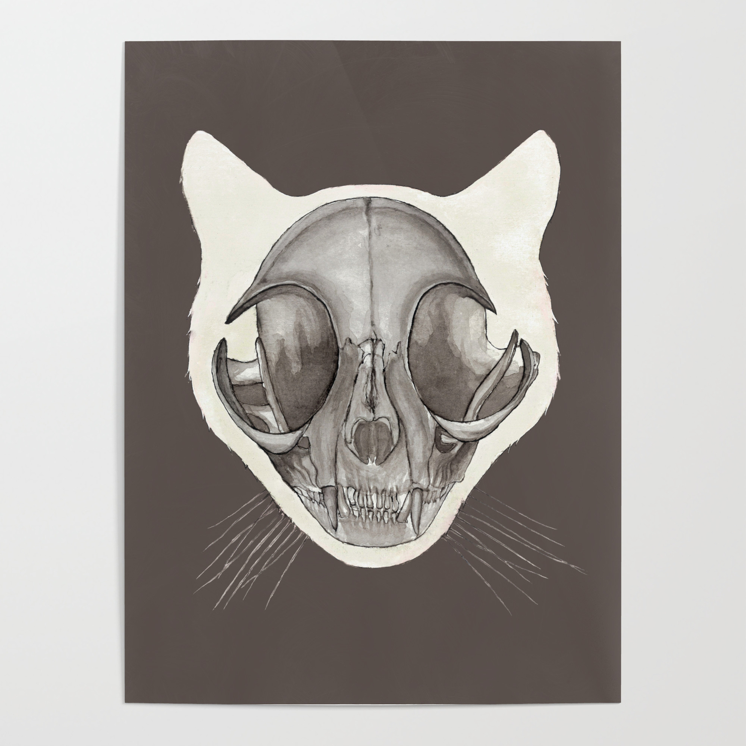 Cat Skull: Watercolor Animal Skeleton Anatomy Poster by OssuariumFloreus |  Society6