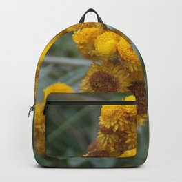Paper Daisy  Backpack