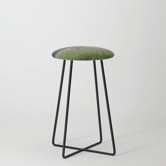 Fawn Counter Stool