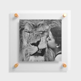 Grouchy Lion being kissed by brunette girl black and white photography Floating Acrylic Print