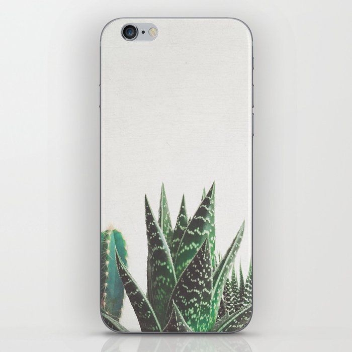 Cactus & Succulents iPhone Skin
