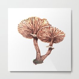 Fungi watercolor - Armillaria gallica Metal Print
