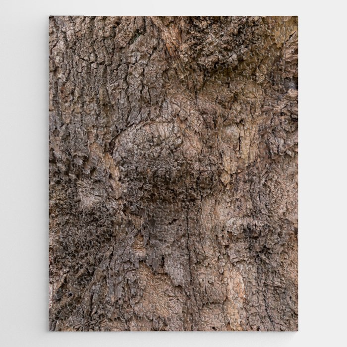 bark pattern of a tree in nature forest Jigsaw Puzzle