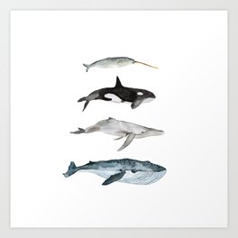 Sea Life . Four Whales Art Print