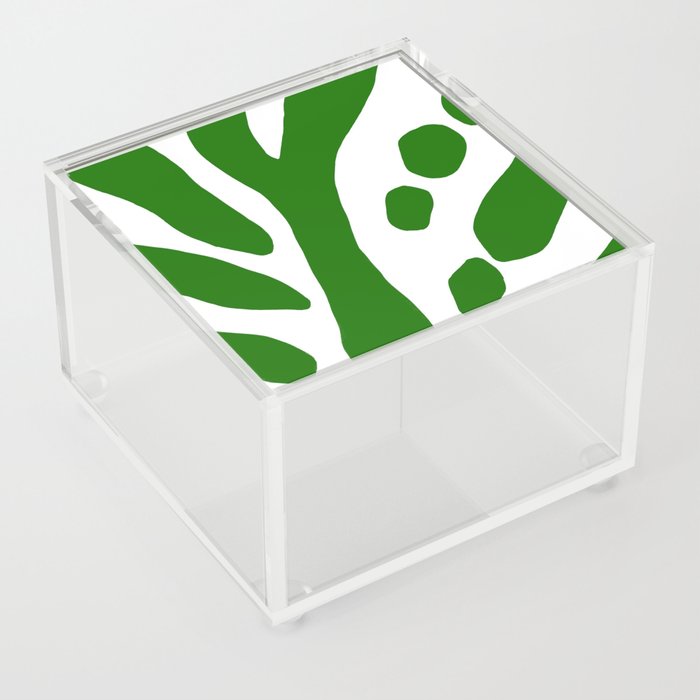 Bold Zebra Green Acrylic Box