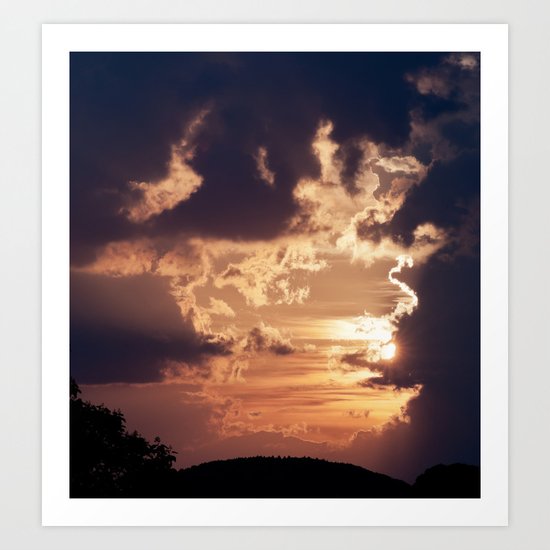 Nature 12 Art Print