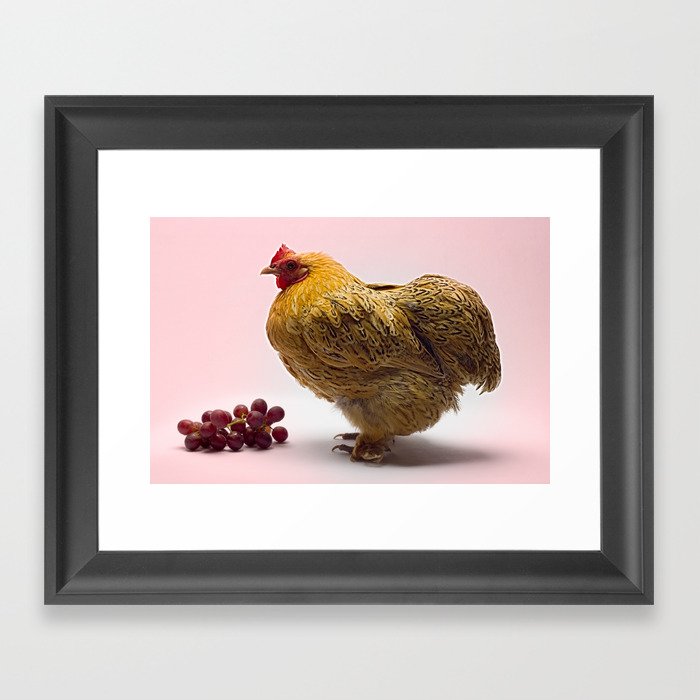 The Chicken Framed Art Print