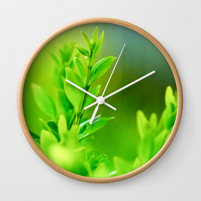 Green Harmony Wall Clock