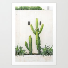 Lime cactus Art Print