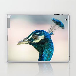 Peacock head against bright background Laptop Skin