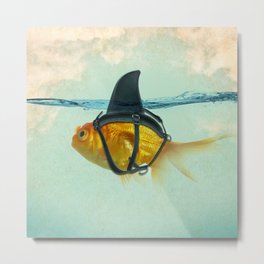 BRILLIANT DISGUISE 03 Metal Print | Shark, Power, Disguise, Brave, Liveinthemoment, Beagoldfish, Nature, Alwaysbeyourself, Goldfish, Soul 