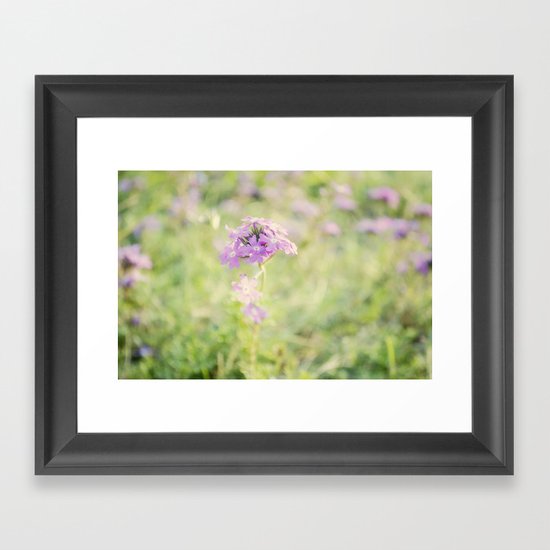 Soft Flower Framed Art Print