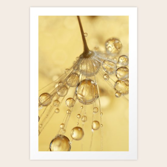 Golden Drops Art Print