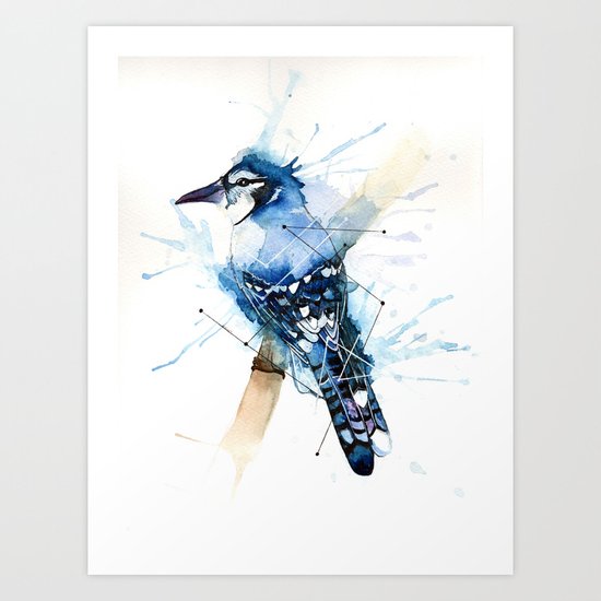 Blue Jay Art Print