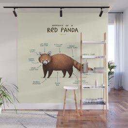 Anatomy of a Red Panda Wall Mural