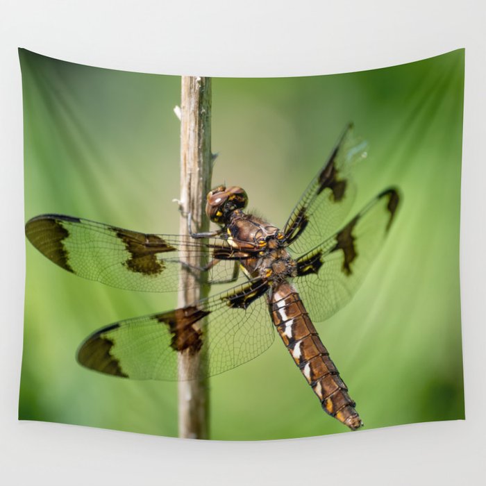 Delicate Landing. Wall Tapestry
