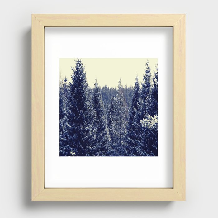 Snow Drama amongst the Pine Trees in the Scottish Highlands Recessed Framed Print