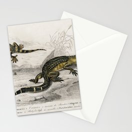 Alligator & Lilford'swall lizard  Stationery Card