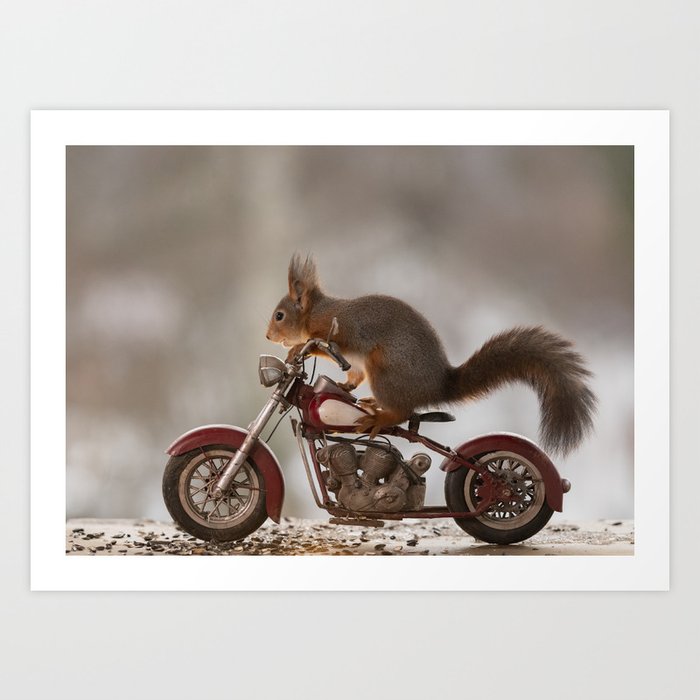 squirrel driving a bike Art Print