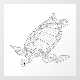The Green Sea Turtle Art Print