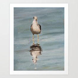 seagull two Art Print